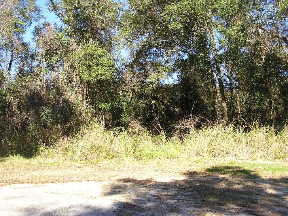 Ideal Multi-family Land Waiting For Development: S Elsasser St, DeLand, FL 32720